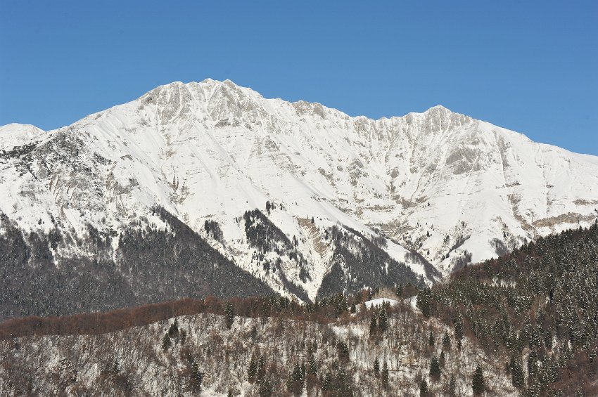 45 Cattedrale Vegetale - Cima Menna.jpg